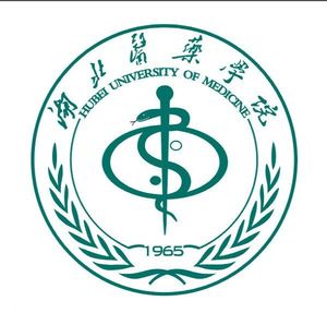 中国-湖北医科大学-logo