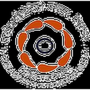 印度-国立理工学院Silchar-logo