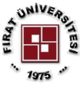 土耳其-菲拉特大学-logo