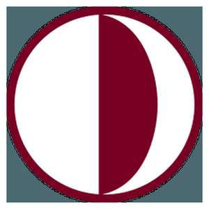 土耳其-近东大学-logo