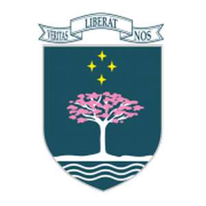 巴拉圭-美洲南锥体大学-logo