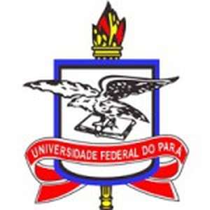 巴西-帕拉联邦大学-logo