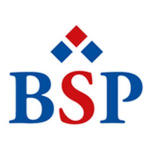 德国-BSP 商学院柏林波茨坦-logo