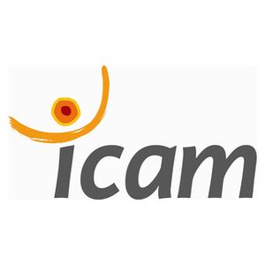 法国-ICAM 工程学院 – ICAM 南特工程学院-logo