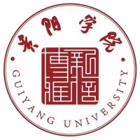 中国-贵阳学院-logo